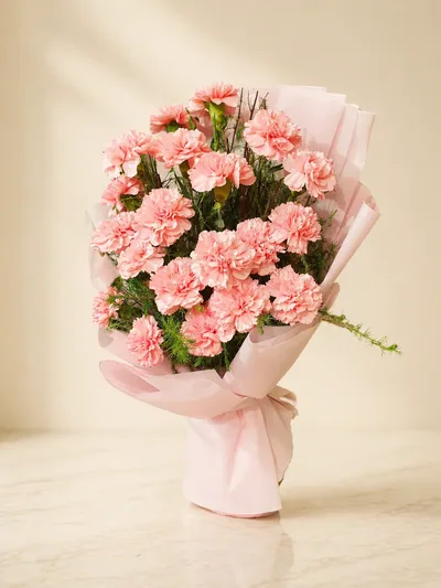 Pink Carnations Bliss — view 1