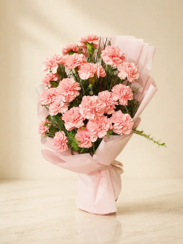 Pink Carnations Bliss